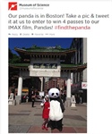 Boston's Museum of Science Creates Buzz for "Pandas: The Journey Home" with #findthepanda 